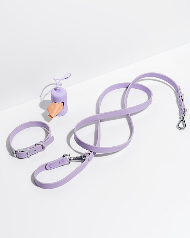 Wild One Dog Collar Walk Kit
