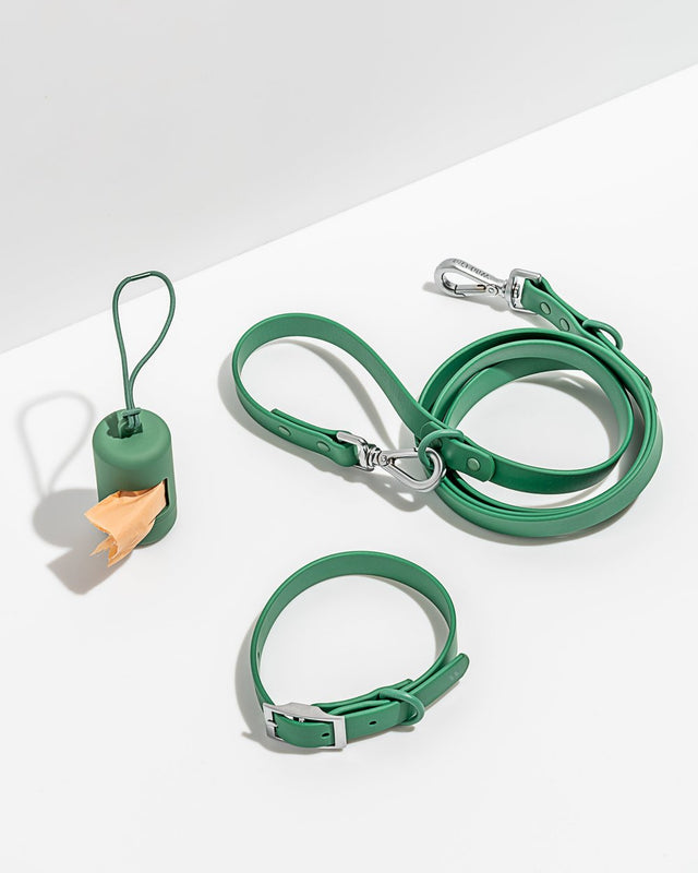 Wild One Dog Collar Walk Kit