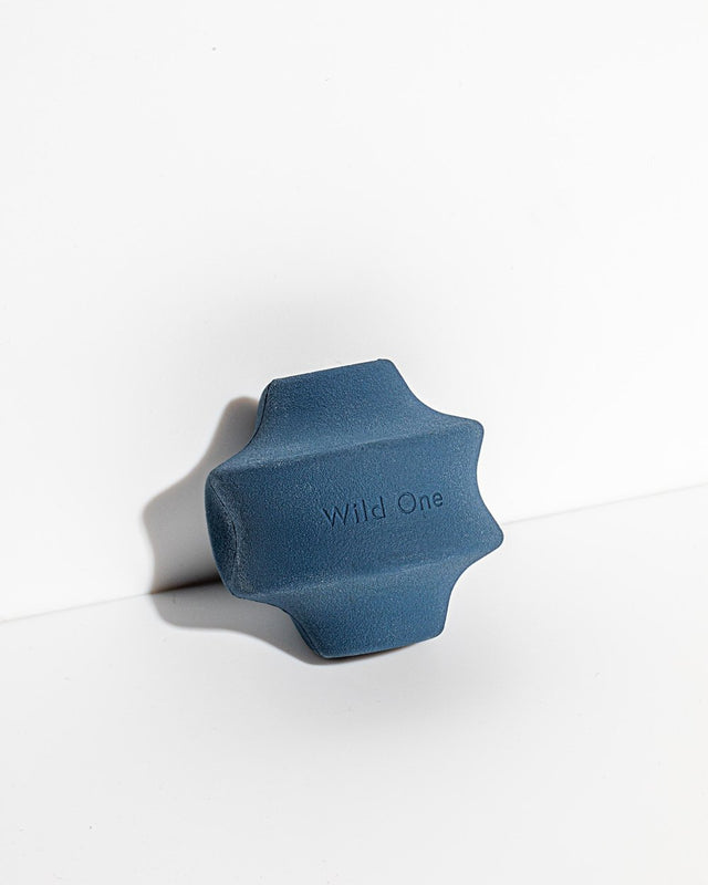 Wild One Dog Toy Twist Toss - Navy