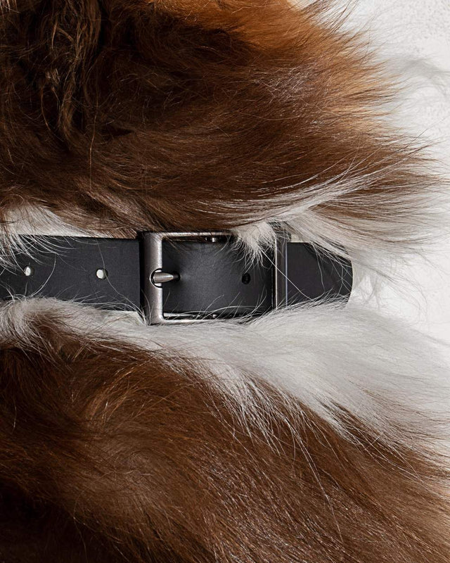 Wild One Dog Collar - Black