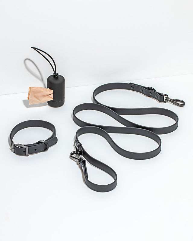 Wild One Dog Collar Walk Kit