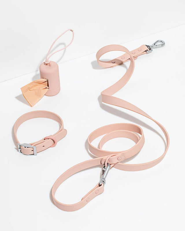 Wild One Dog Collar Walk Kit