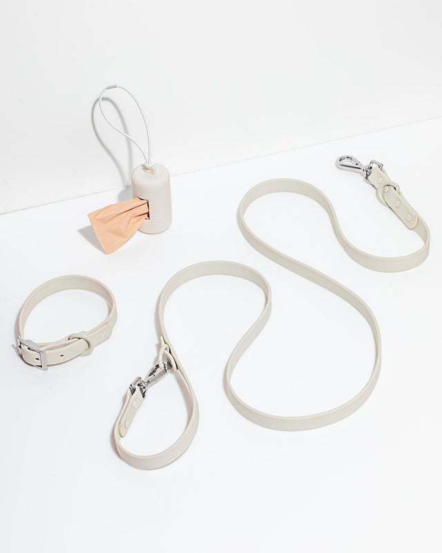 Wild One Dog Collar Walk Kit