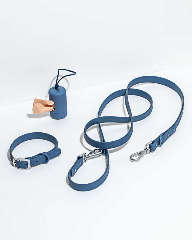 Wild One Dog Collar Walk Kit