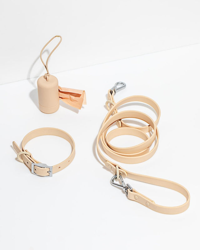 Wild One Dog Collar Walk Kit