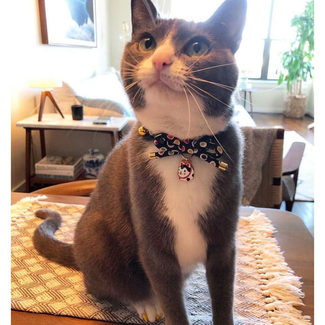 Necoichi ZEN Hariko Charm Cat Collar Black