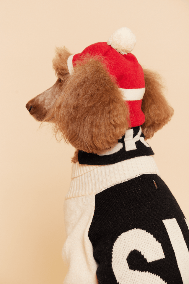 Max Bone SKI Balaclava - S