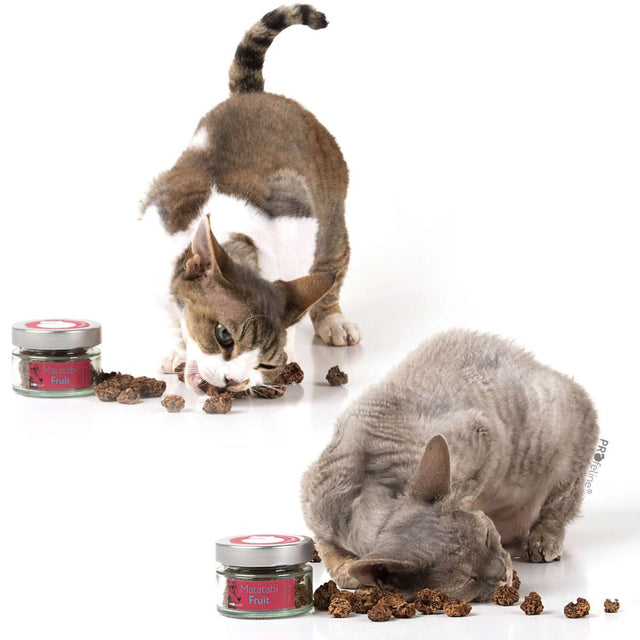 Profeline - Cat Matatabi Fruit