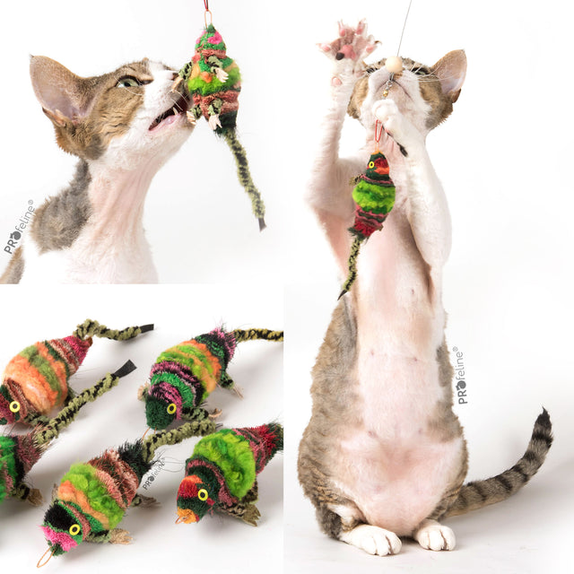 Profeline - Cat Toy Chameleon Attachment