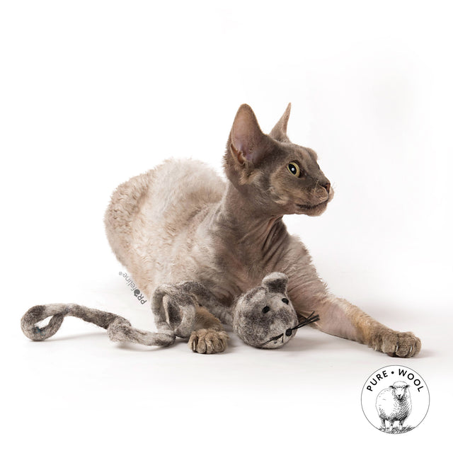 Profeline - Cat Toy WoollyRattus