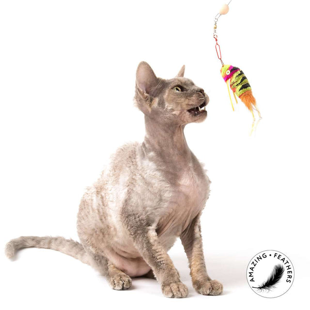 Profeline - Cat Toy Colourful Edition Attachment Set