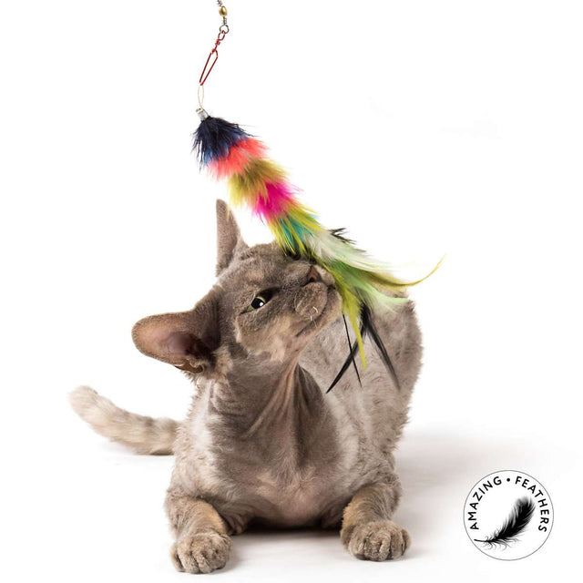 Profeline - Cat Toy Colourful Edition Attachment Set