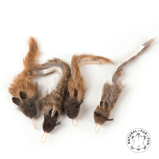 Profeline - Cat Toy Squirrely