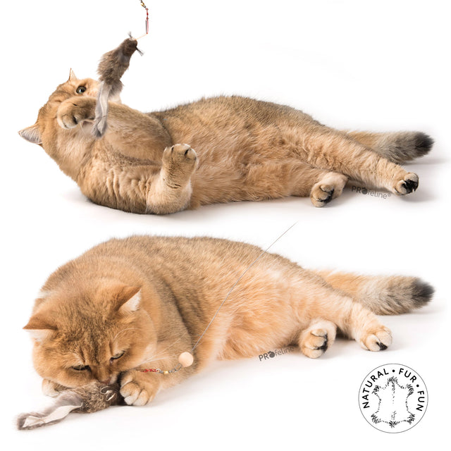 Profeline - Cat Toy Squirrely