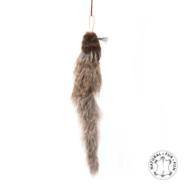 Profeline - Cat Toy Squirrely