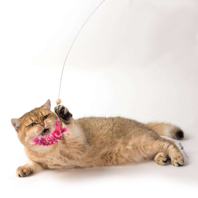 Profeline - Cat Toy Shrimps Refill