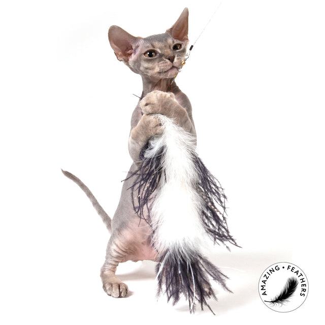 Profeline - Cat Toy Ostrich Refill