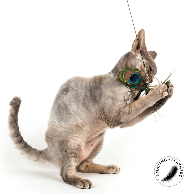 Profeline - Cat Toy Papillon Peacock Refill