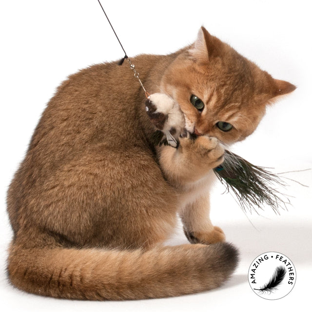Profeline - Cat Toy Paradise Refill
