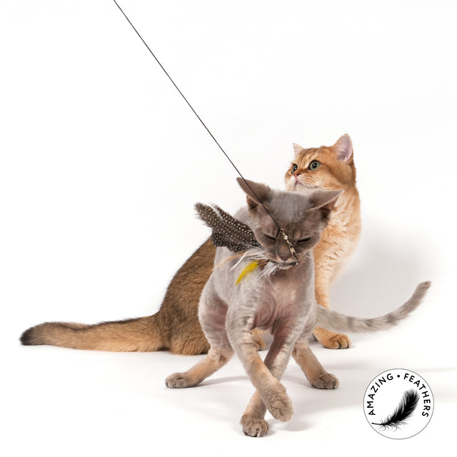 Profeline - Cat Toy Pepita Refill