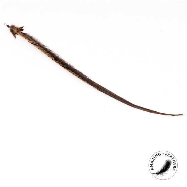 Profeline - Cat Toy Pheasant Longtail Refill