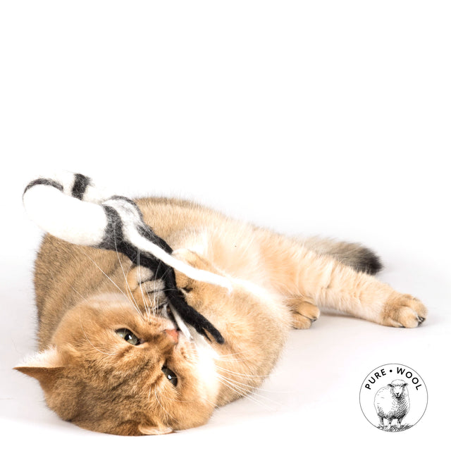 Profeline - Cat Toy DonutComet