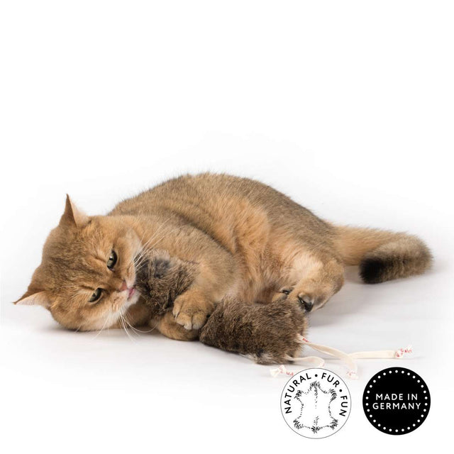 Profeline - Cat Toy FurBunny