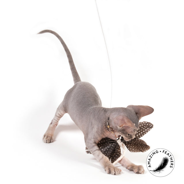Profeline - Cat Toy Papillon Pepita Refill