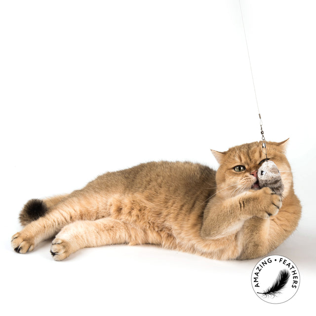 Profeline - Cat Toy Rod Woody Swirl
