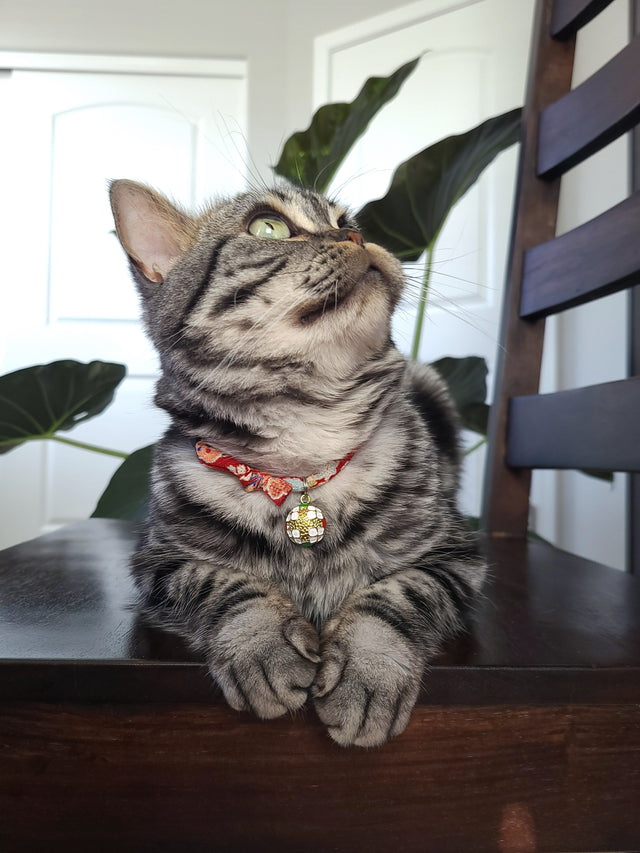 Necoichi Chirimen Temari Dynasty Cat Collar Red