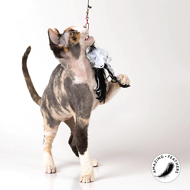 Profeline - Cat Toy Curly Feather Refill