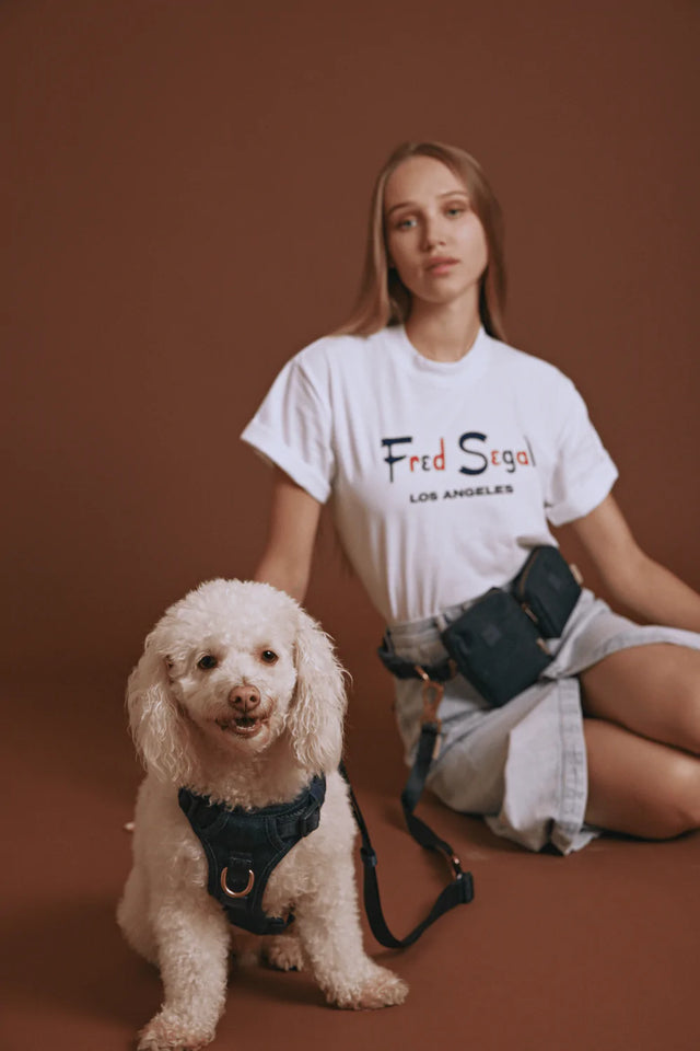 Fred Segal X Maxbone GO! With Ease Bundle For Dogs - S