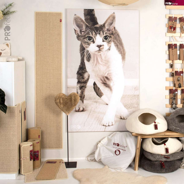 Profeline - Cat Scratching Mat 60 x 20 cm