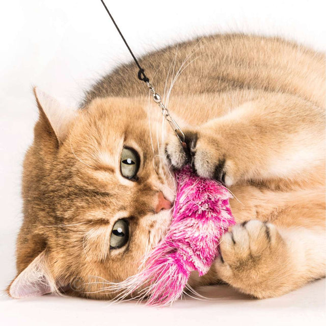 Profeline - Cat Toy Shrimps Refill