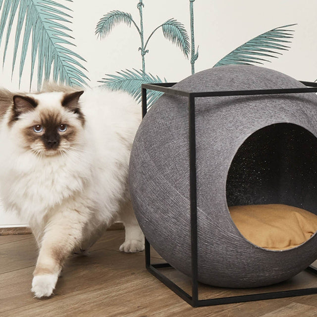 Meyou Paris The Dark Grey Cube