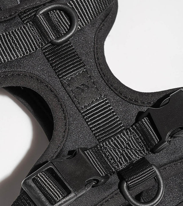 Wild One Dog Harness - Black
