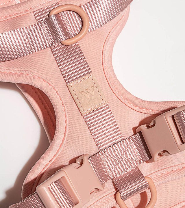 Wild One Dog Harness - Pink