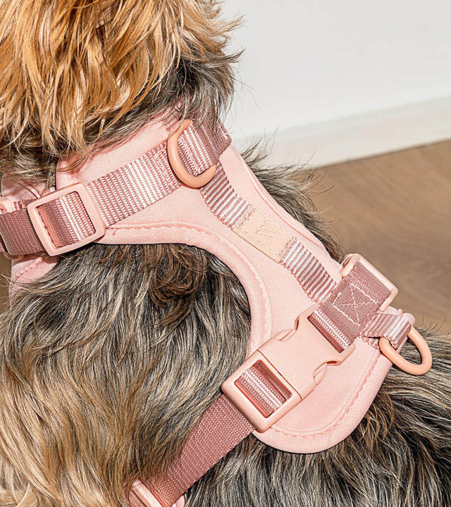 Wild One Dog Harness - Pink