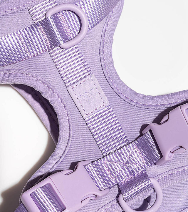 Wild One Dog Harness - Lilac