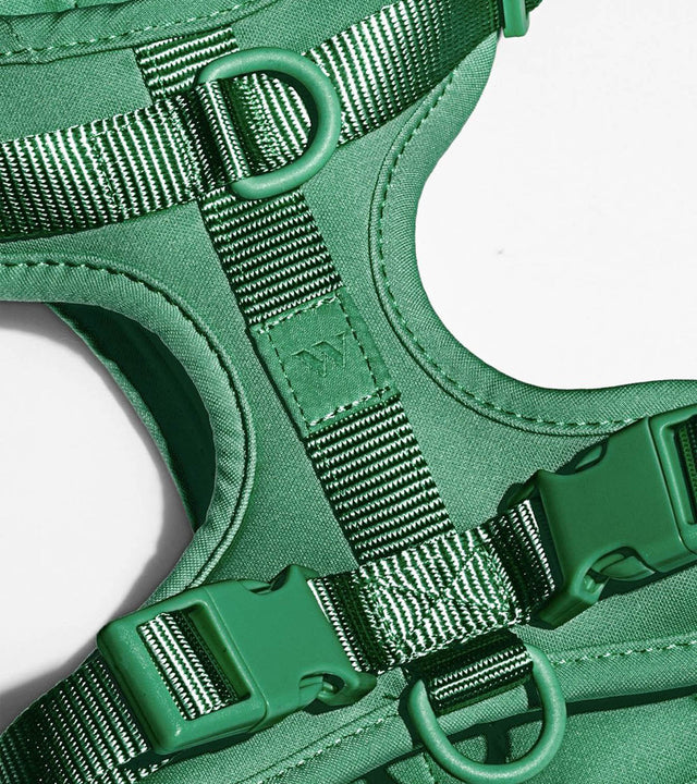 Wild One Dog Harness - Spruce