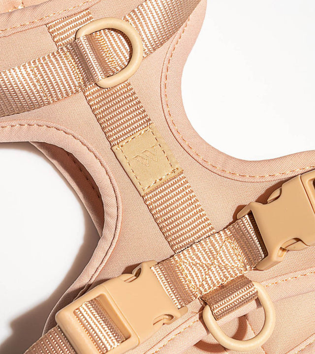 Wild One Dog Harness - Tan