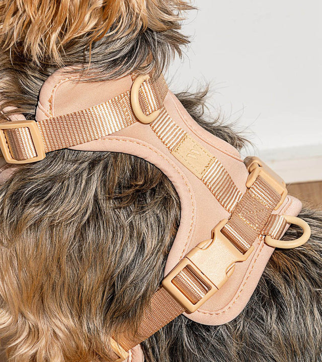 Wild One Dog Harness - Tan