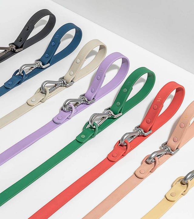 Wild One Dog Leash - Navy