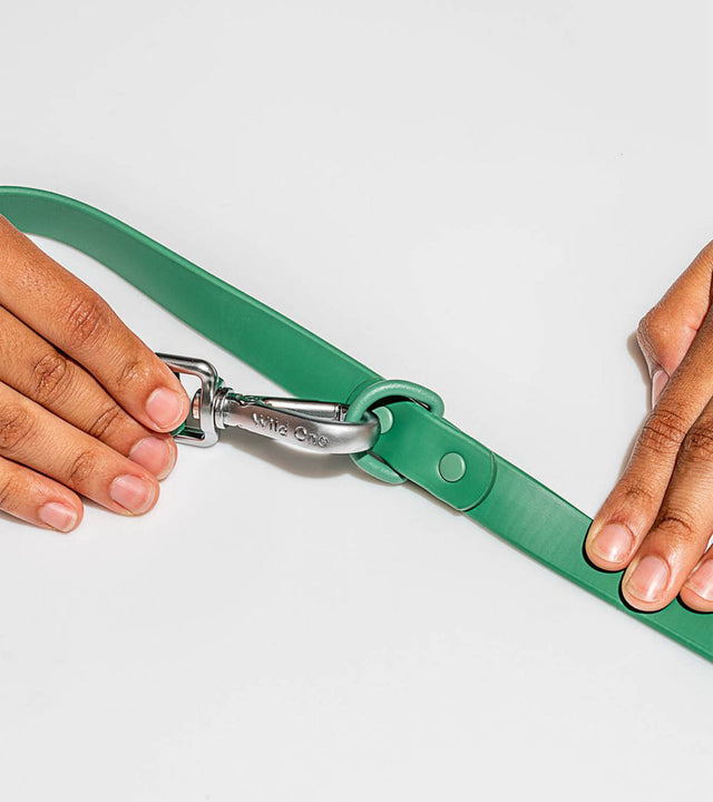 Wild One Dog Leash - Spruce