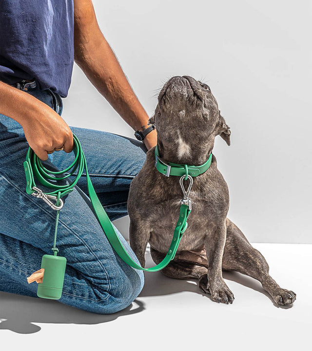 Wild One Dog Leash - Spruce