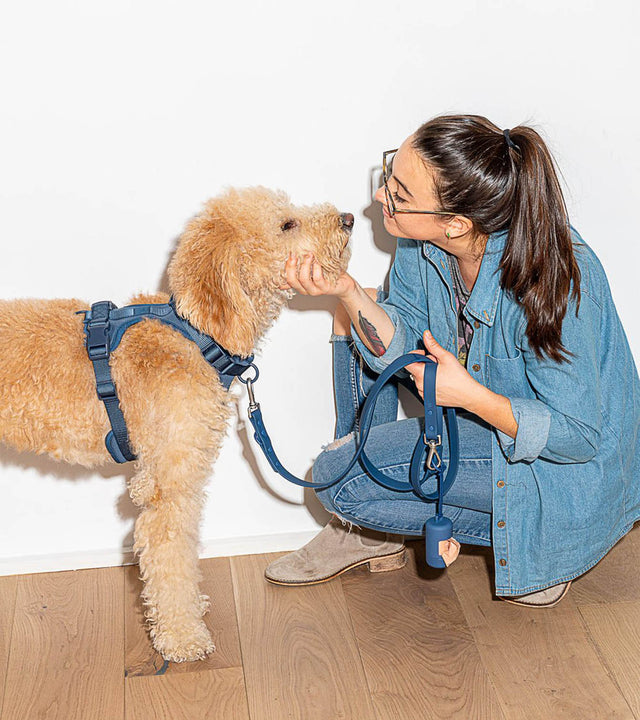 Wild One Dog Leash - Navy