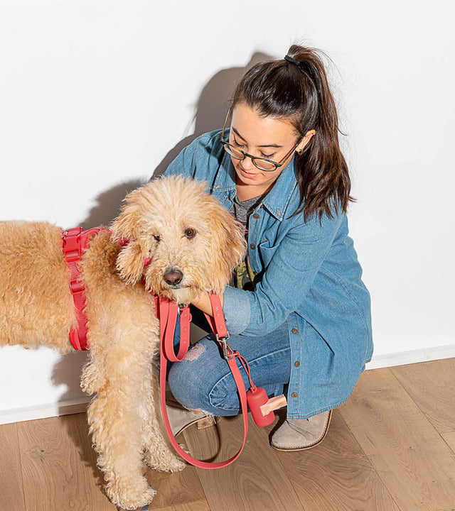 Wild One Dog Leash -Red
