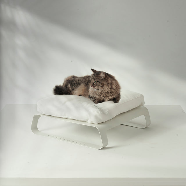 Weelywally Montreal Pet Bed White