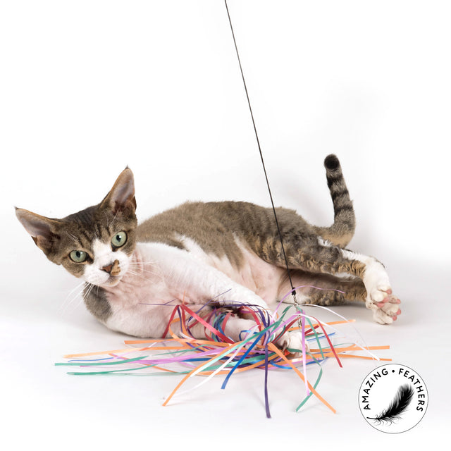 Profeline - Cat Toy FlutteryFringe Refill