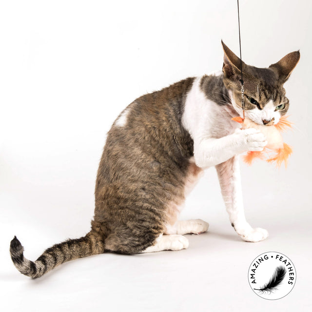 Profeline - Cat Toy Cheeky Refill